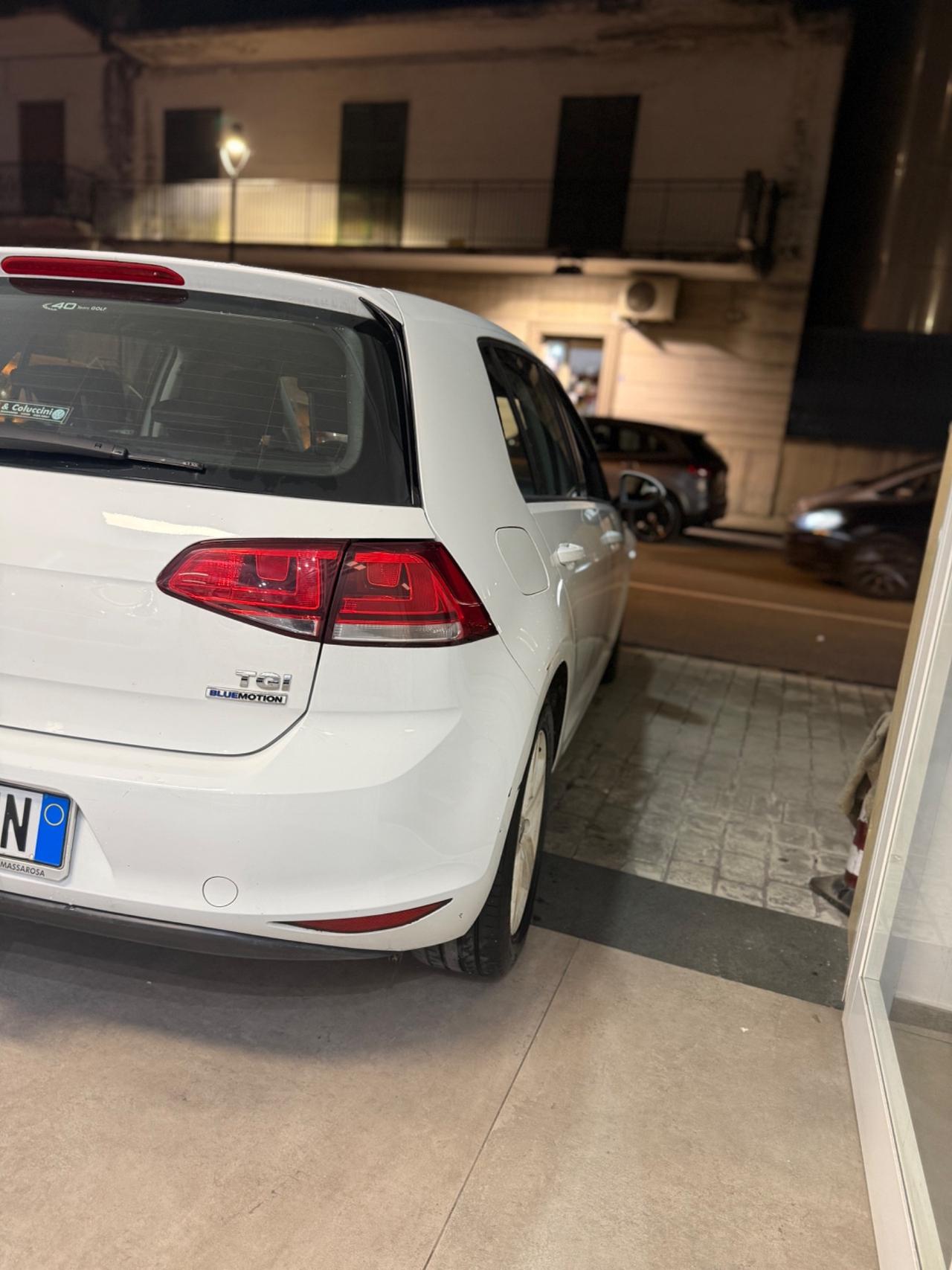 Volkswagen Golf Business 1.4 TGI DSG 5p. Comfortline BlueMotion