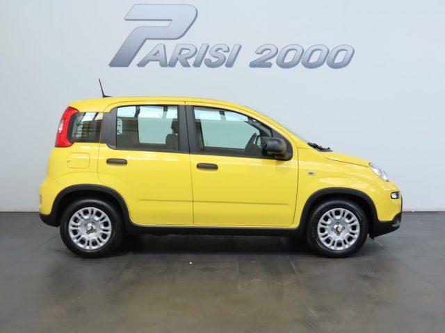 FIAT Panda 1.0 FireFly S&S Hybrid new version 2024