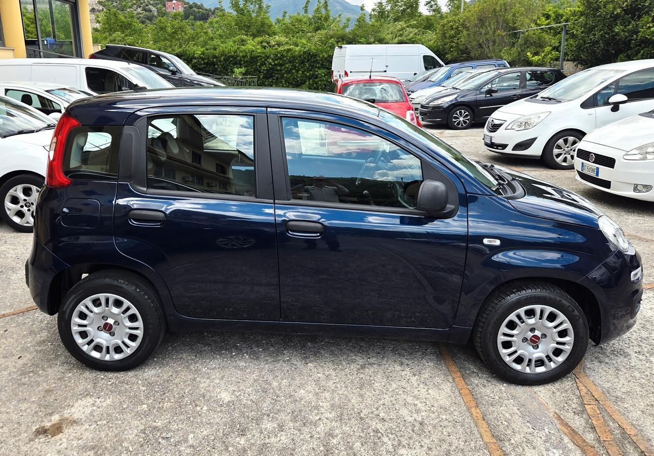 Fiat Panda 1.2 SOLO 34000 KM 5 POSTI GARANZIA