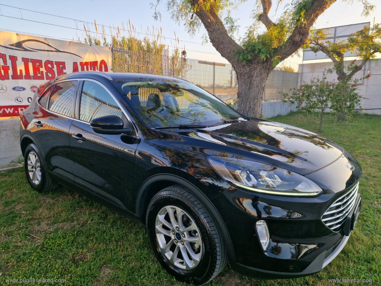 FORD Kuga 1.5 EcoBlue 120 CV 2WD Titanium 38.000 KM
