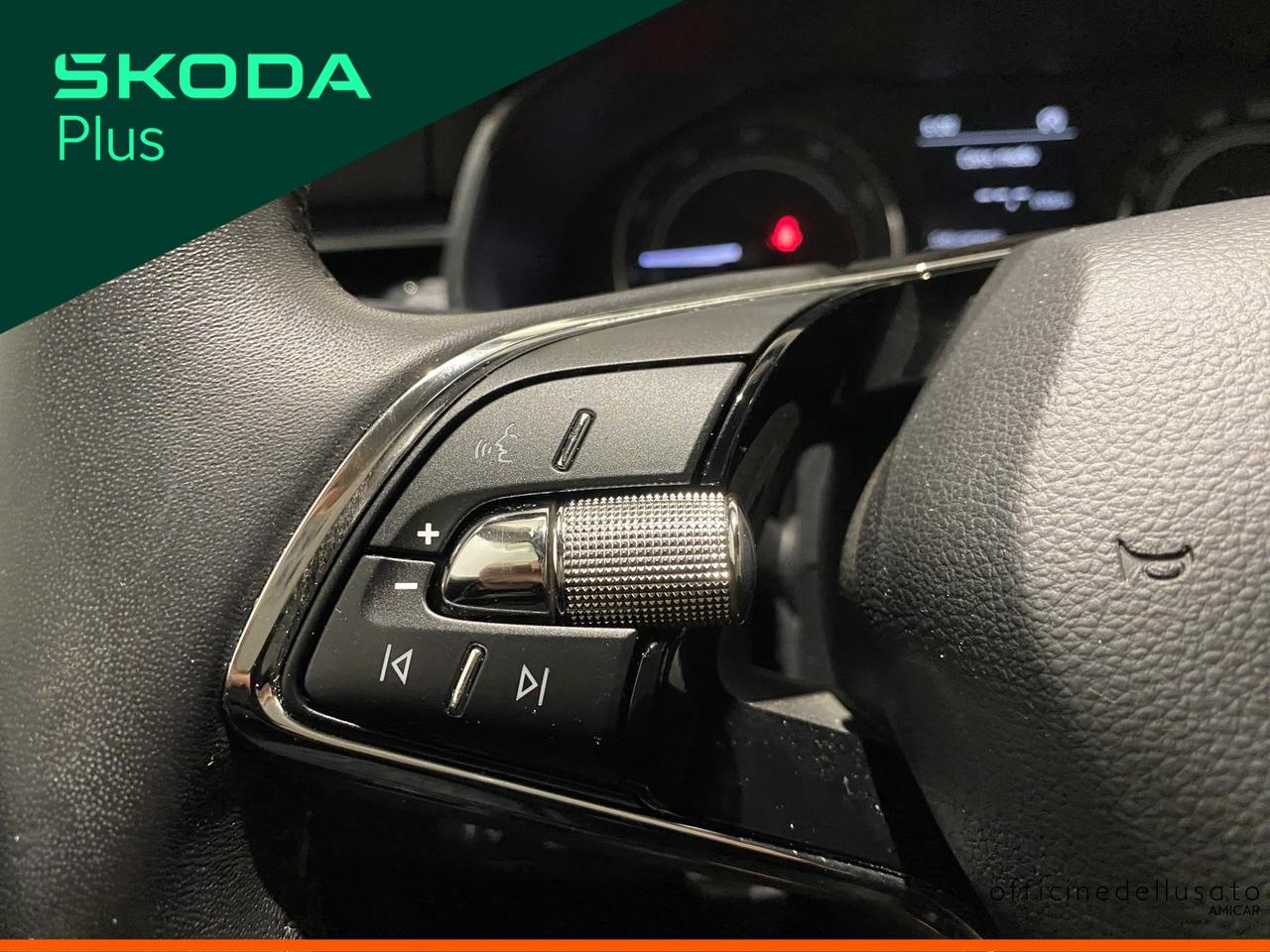 Skoda Kamiq 1.0 tsi 95cv ambition