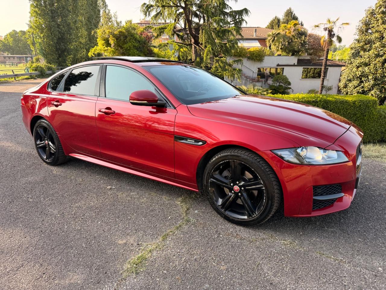 Jaguar XF 2.0D 240 CV AWD R-Sport full pelle tetto EXPORT
