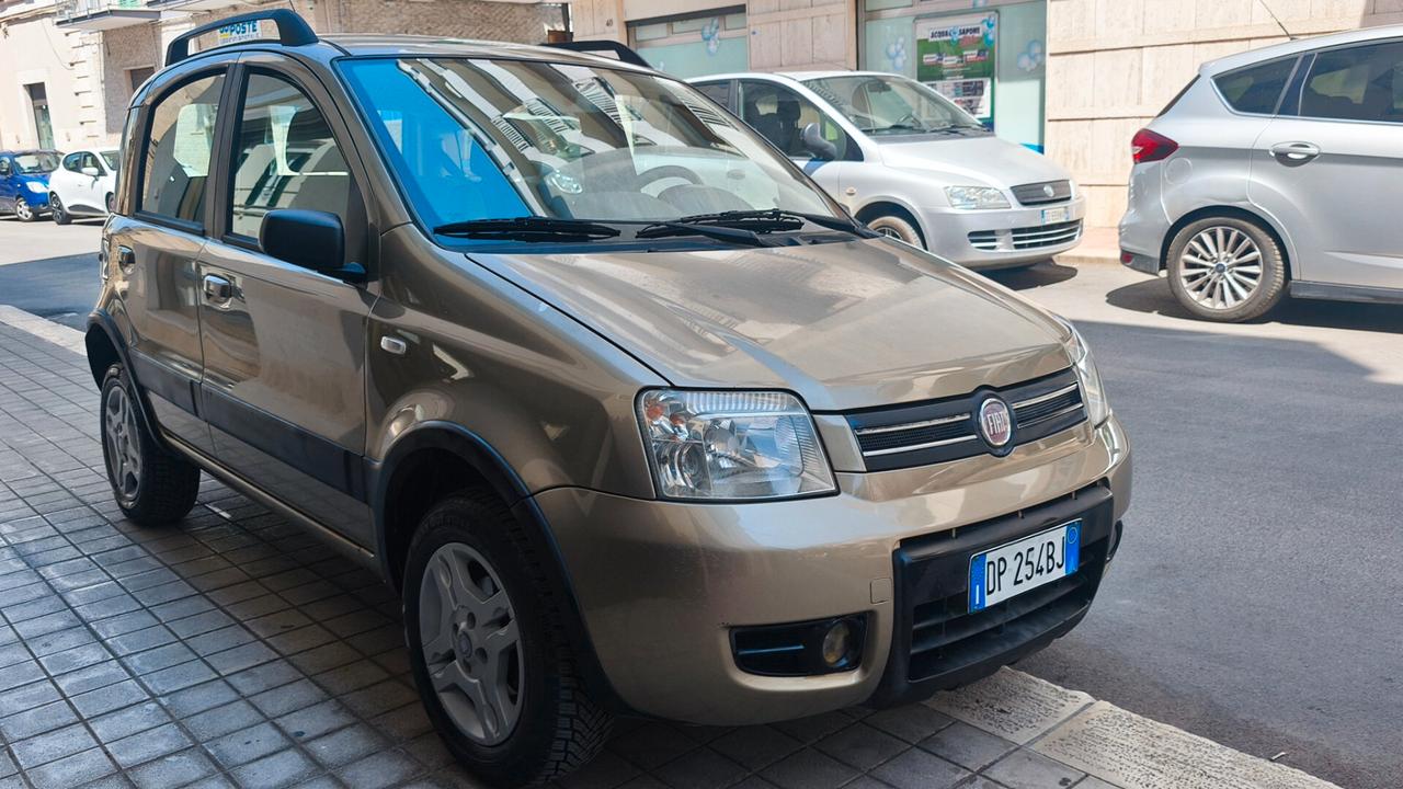 Fiat Panda 1.2 Climbing Natural Power 2008
