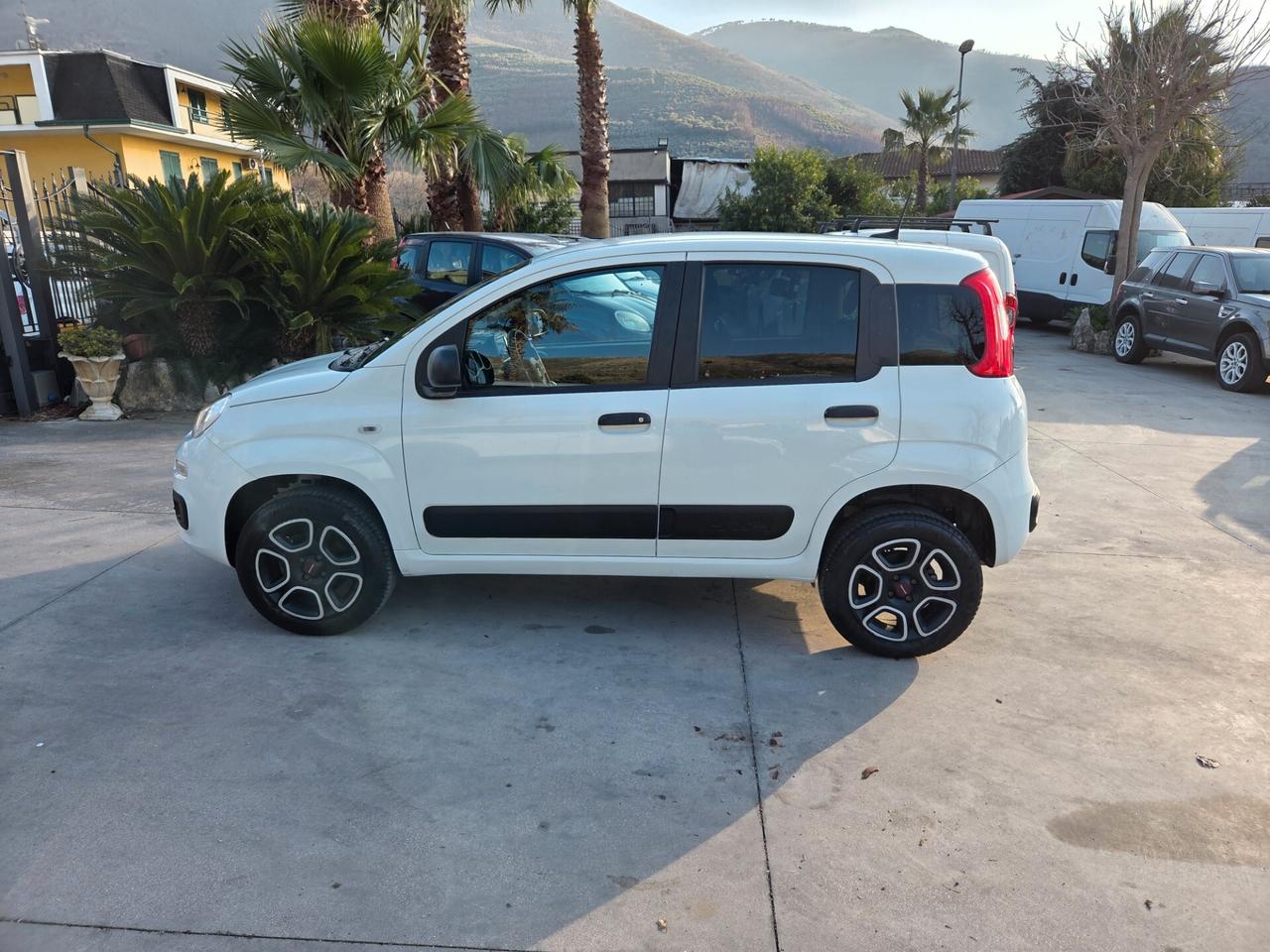 Fiat Panda 900 BENZINA S&S 4x4 - 2021 ACCESSORIATA