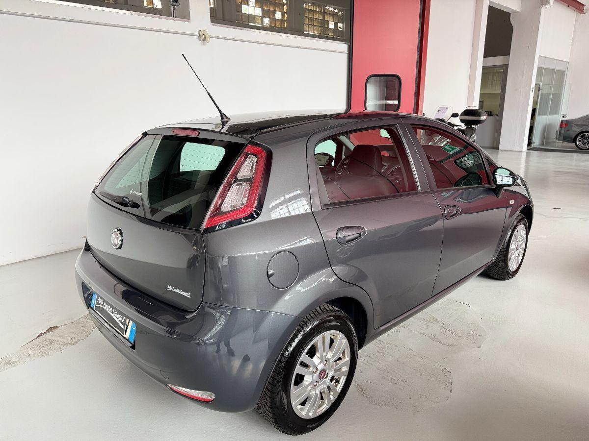 FIAT - Punto - 1.2 8V 5p. Lounge