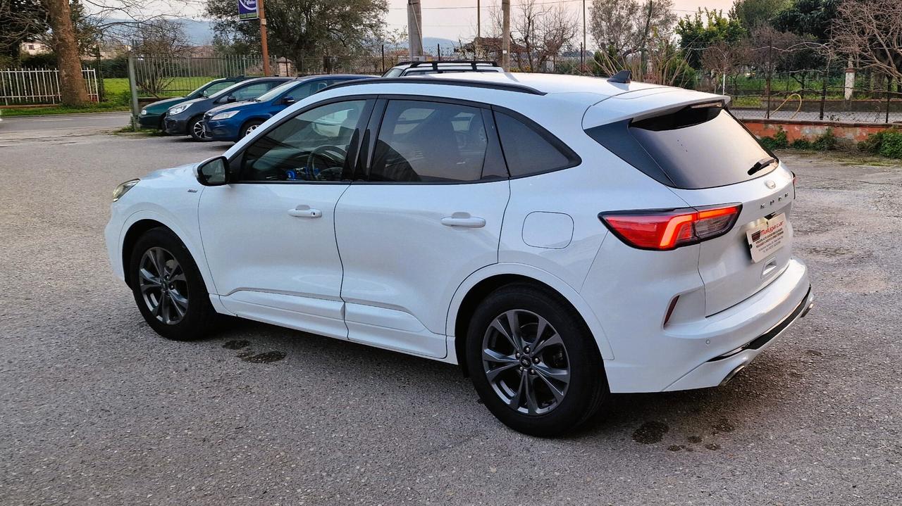 Ford Kuga 1.5 EcoBlue 120 CV 2WD ST-Line