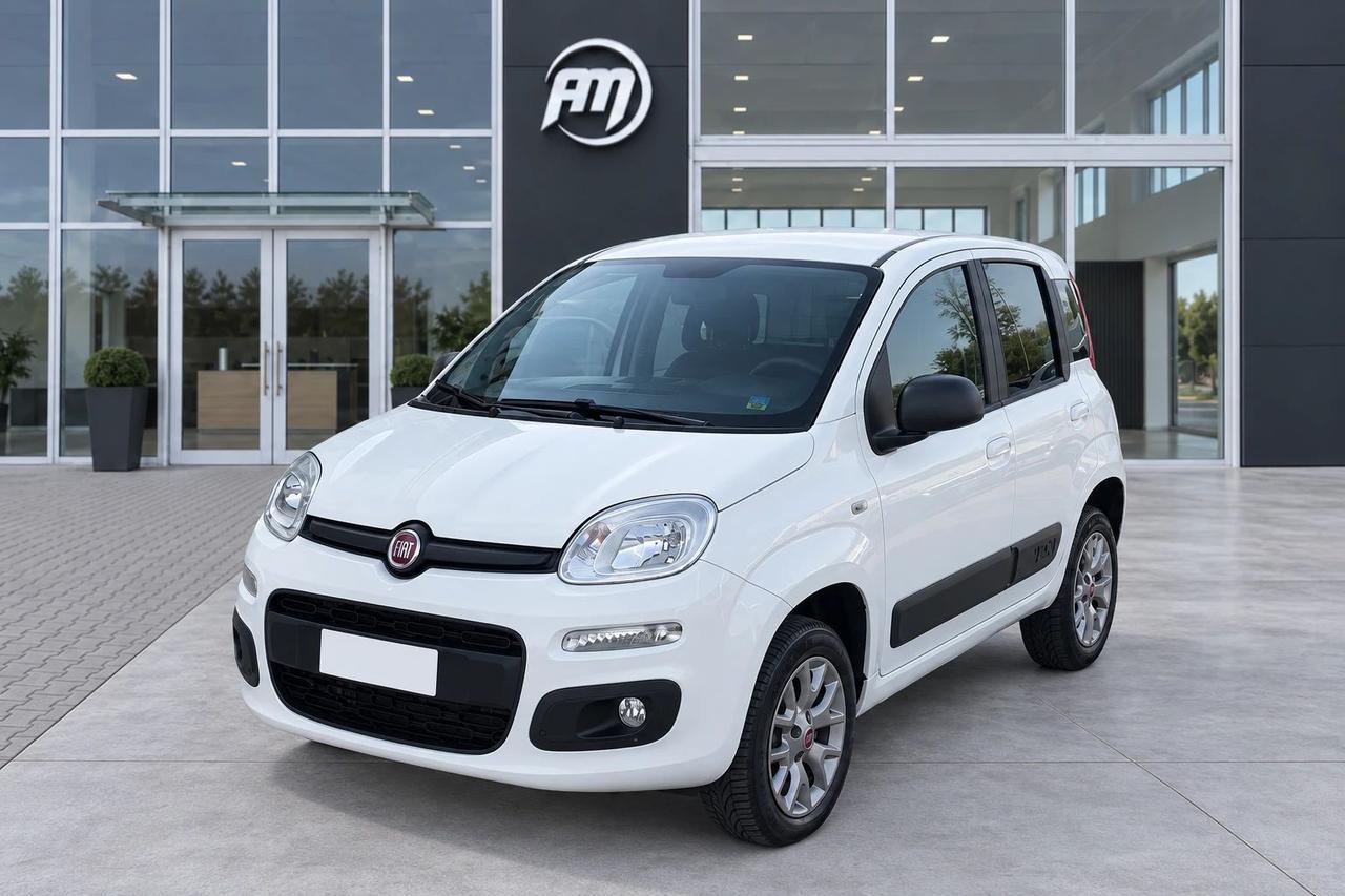 Fiat Panda VAN 1.3 MJT 80 CV 4X4