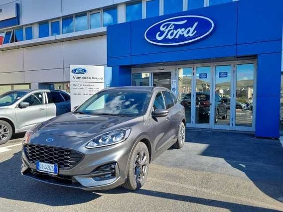 Ford Kuga 1.5 EcoBlue 120 CV 2WD ST-Line