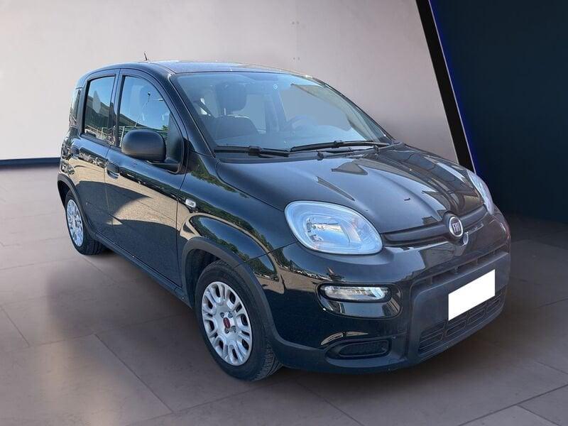 FIAT Panda My24 1.0 70cv Hybrid Panda