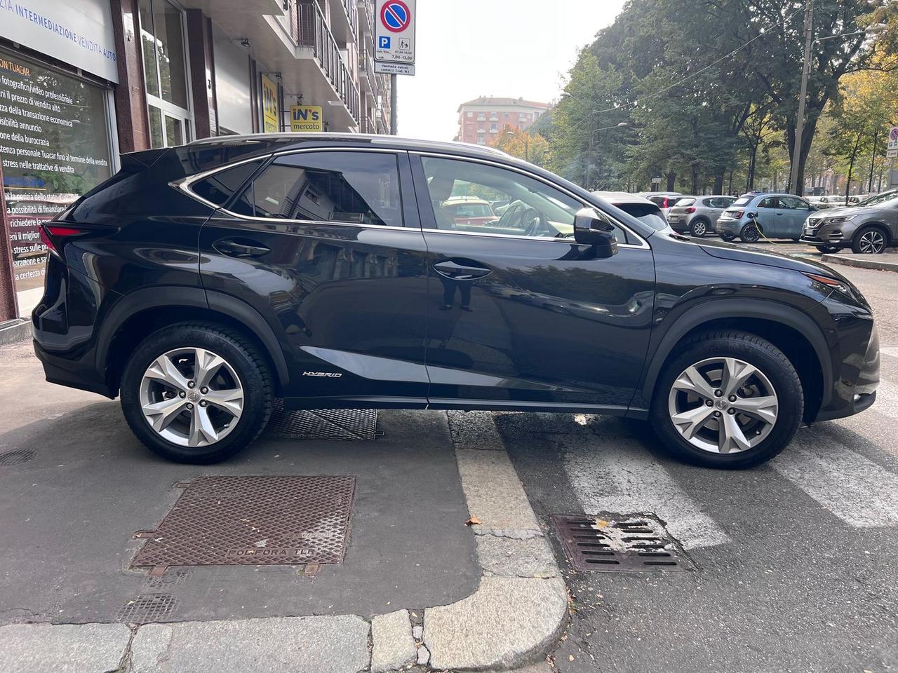 Lexus NX 300h Luxury NX 300h HEV #7331