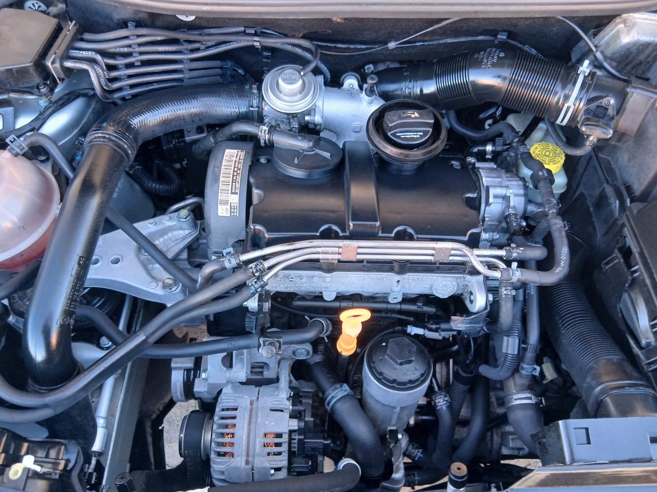 Seat Ibiza 1.4 TDI 5 porte full 04