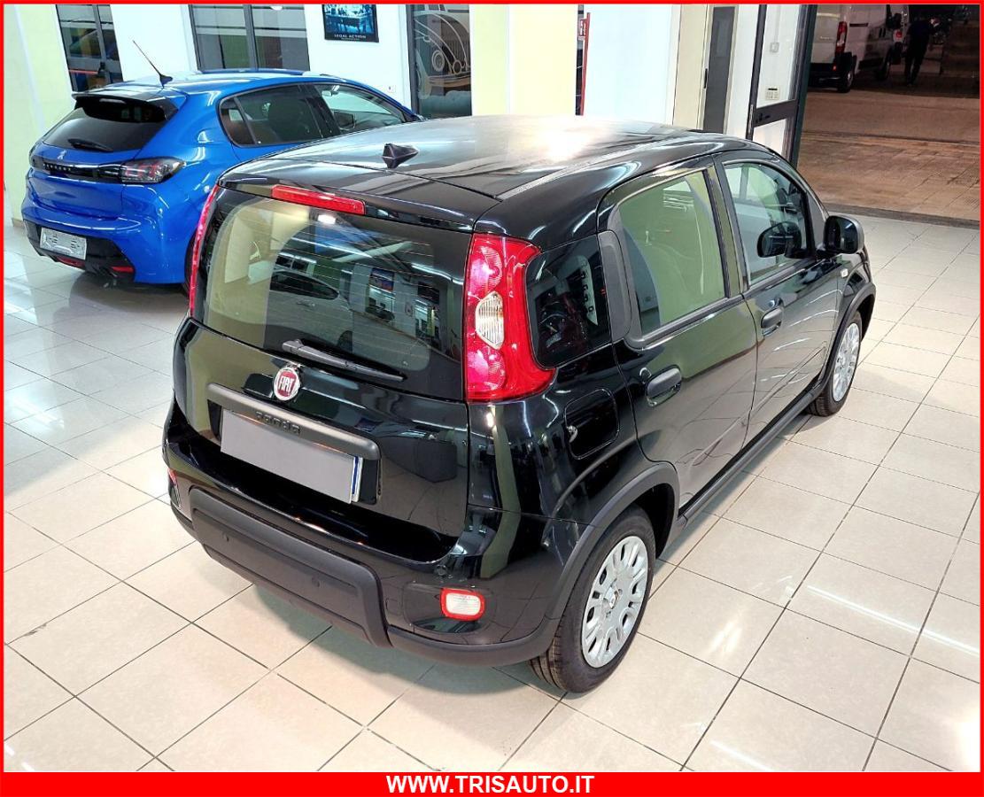 FIAT Panda 1.0 FireFly S&S Hybrid MY24 KM ZERO!!! IVATA NEOPATENTATI