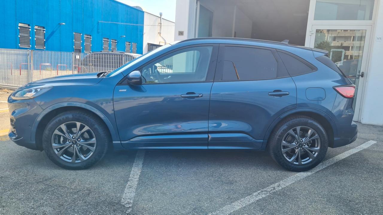 Ford Kuga 2.0 EcoBlue 120CV aut. AWD ST-Line X