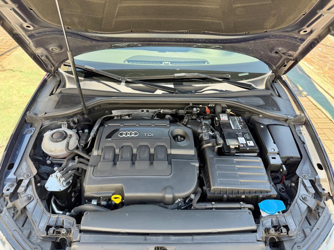 Audi A3 Sportback 1.6 TDI Sport - GARANZIA