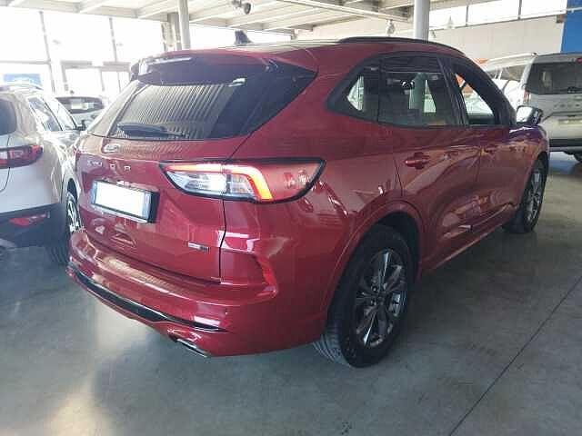 Ford Kuga 2.0 EcoBlue Hybrid 150 CV 2WD ST-Line X