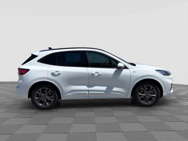 FORD Kuga Kuga 1.5 EcoBlue 120 CV aut. 2WD ST-Line
