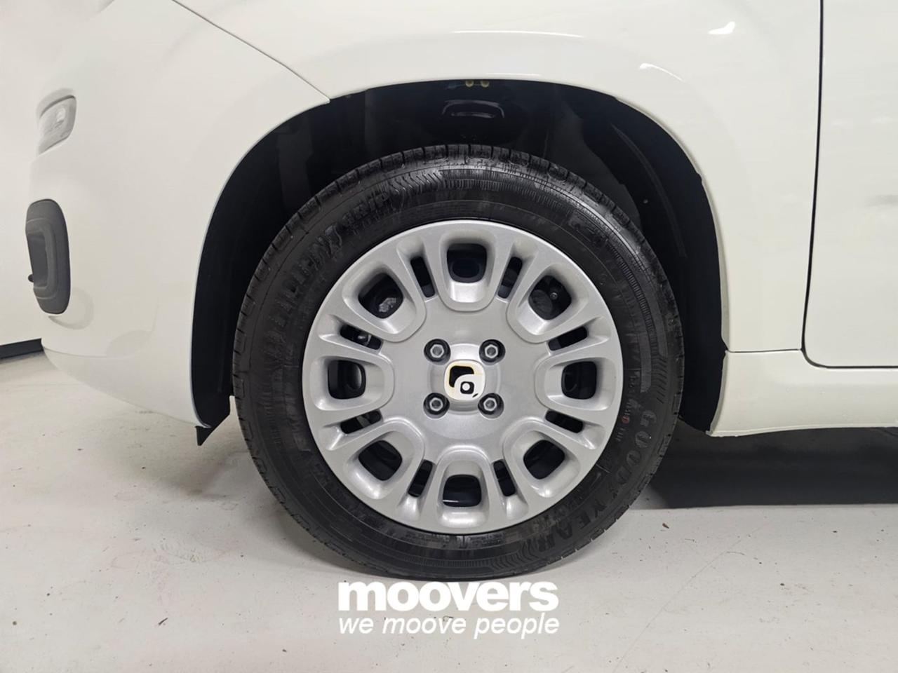 FIAT Panda 3ª serie 1.0 FireFly S&S Hybrid Pandina