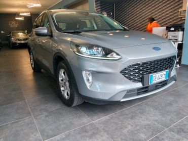 Ford Kuga 1.5 EcoBlue 120 CV aut. 2WD Connect