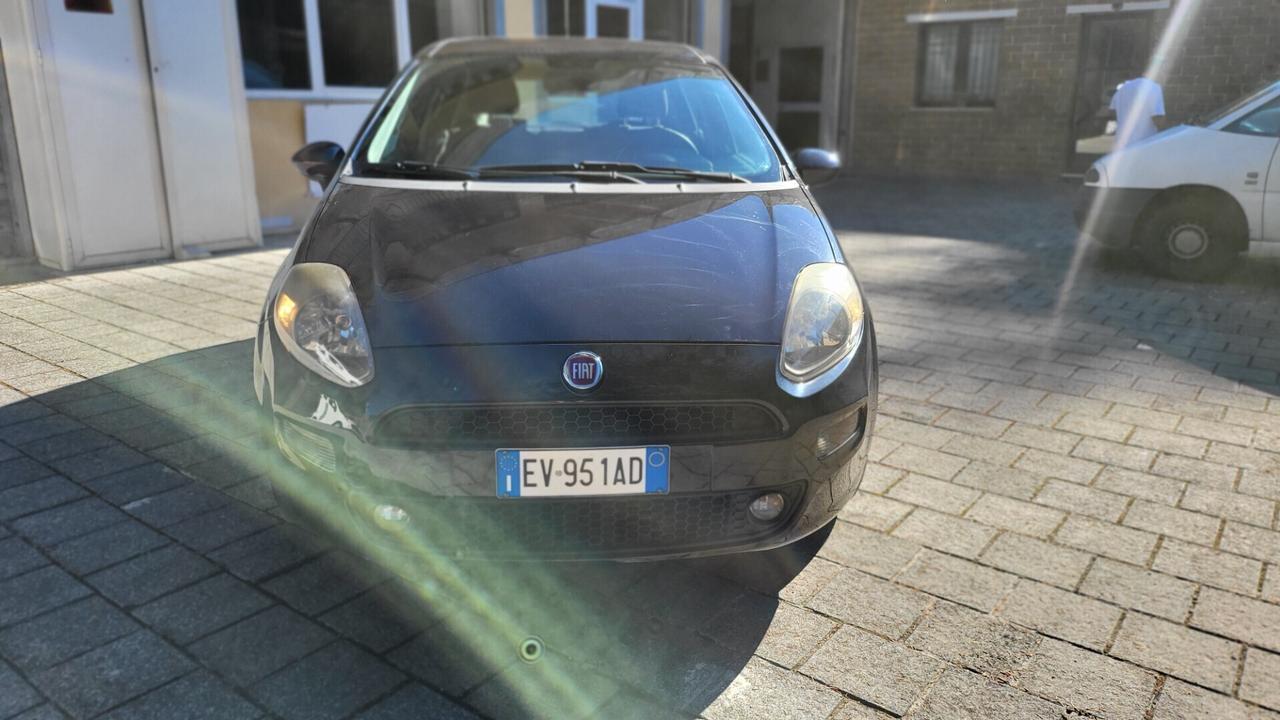 Fiat Punto 1.2 8V 5 porte Street