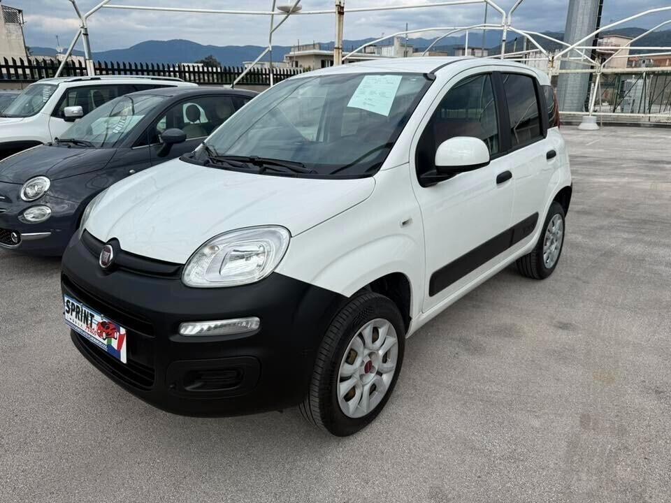 Fiat Panda 4x4 van 2 posti