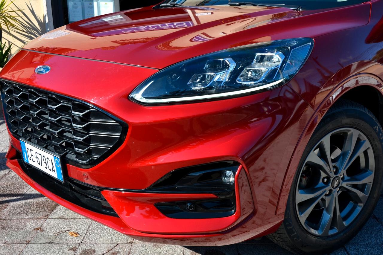 Ford Kuga 1.5 EcoBlue 120 CV 2WD ST-Line X