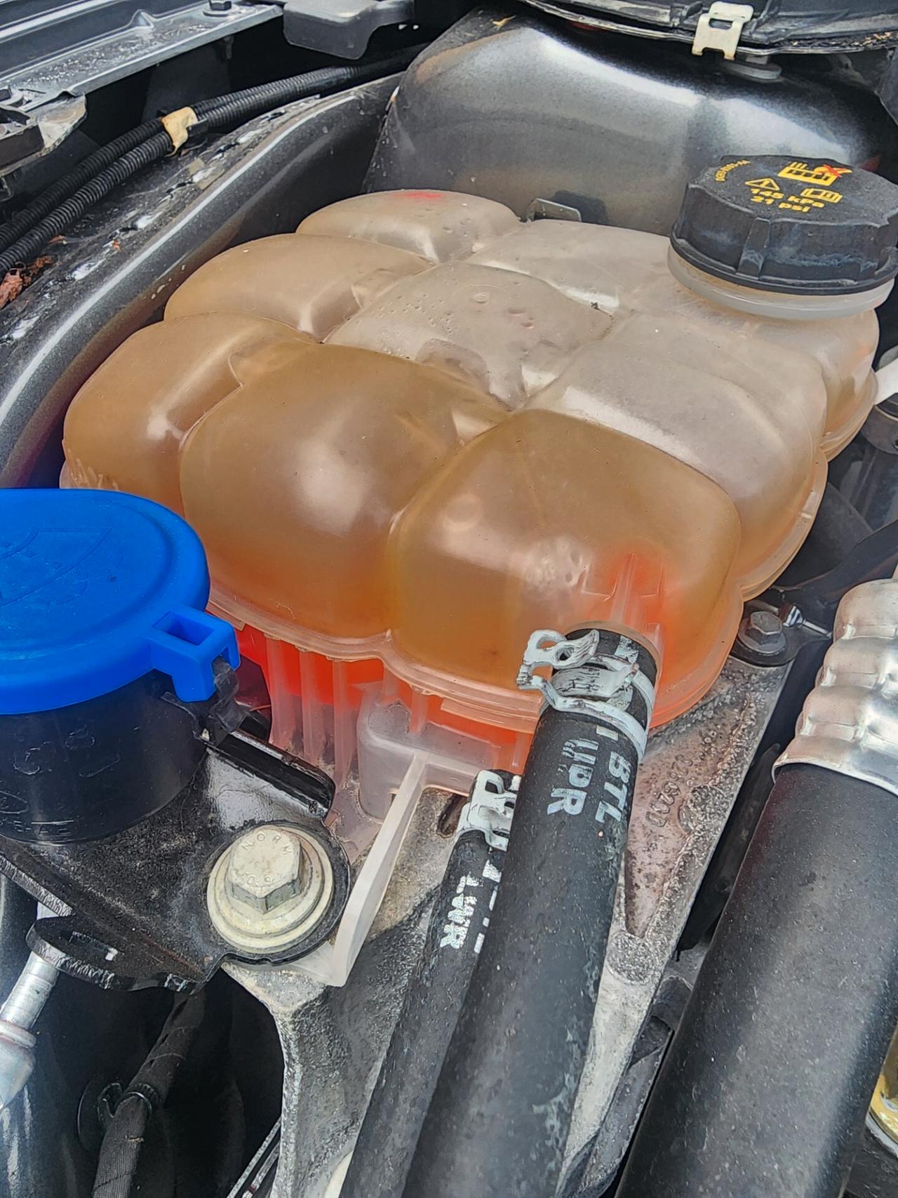 Ford Focus 2.0 EcoBlue 120 CV automatico SW ST-Line Co-Pilot - 2020