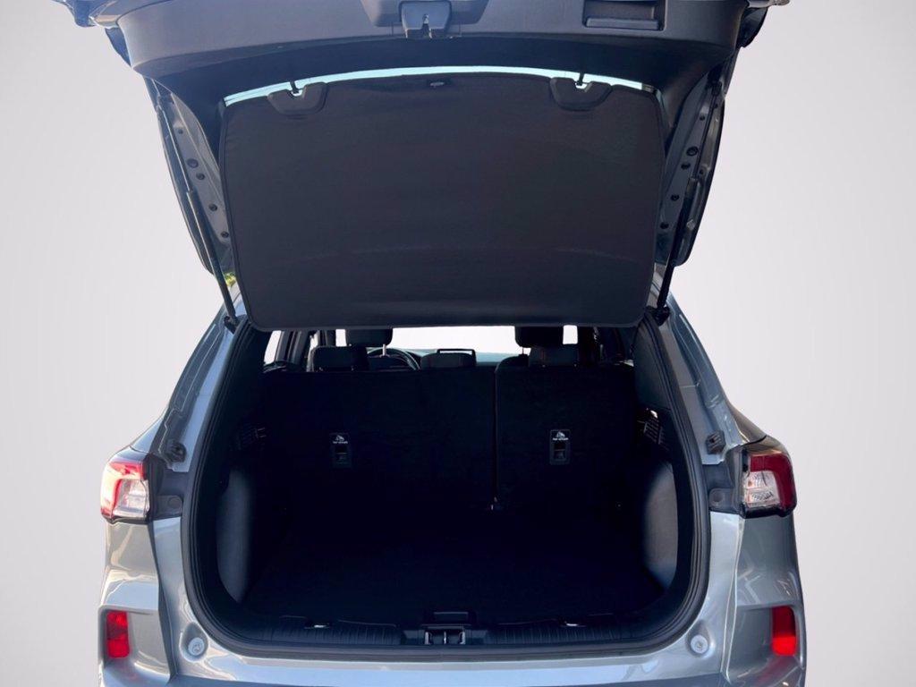 FORD Kuga 1.5 EcoBoost 150 CV 2WD ST-Line del 2023