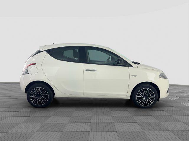 LANCIA Ypsilon Ypsilon 1.2 69 CV 5 porte S&S Gold