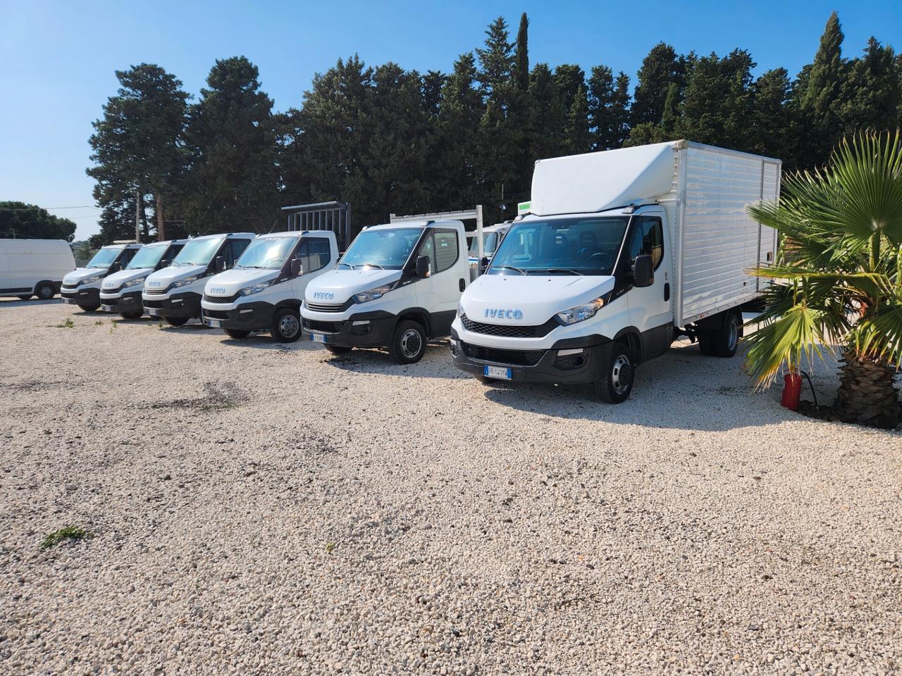 IVECO DAILY VASTO ASSORTIMENTO 35C15