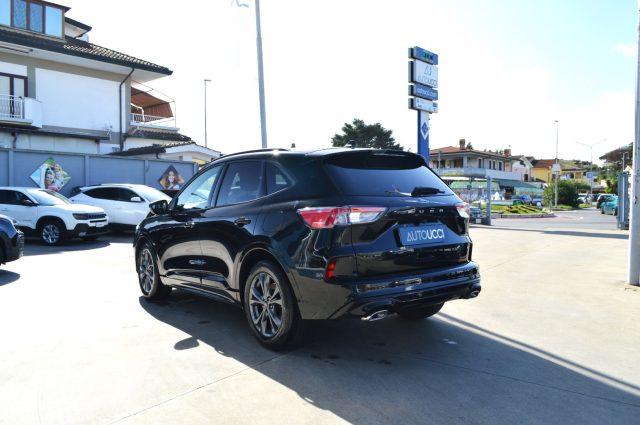 FORD Kuga 1.5 EcoBlue 120 CV 2WD ST-Line Automatica