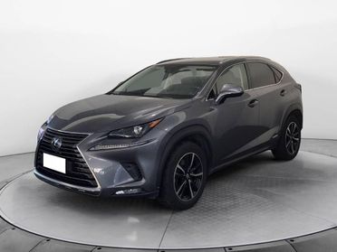 Lexus NX 300 300 2.5 Hybrid Premium 4WD CVT