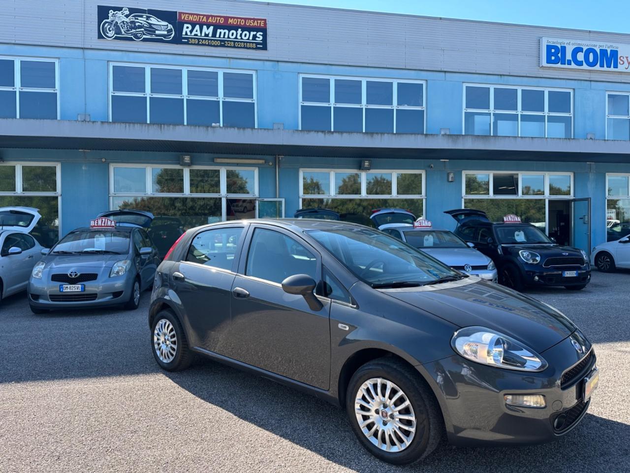 Fiat Punto 1.2 8V 5 porte Street NEOPATENTATI