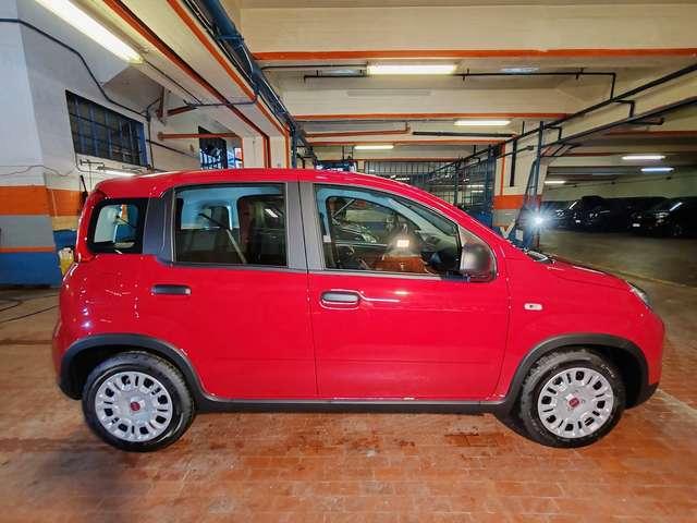 Fiat Panda 1.0 Hybrid 70cv 36 Rate da 177,95