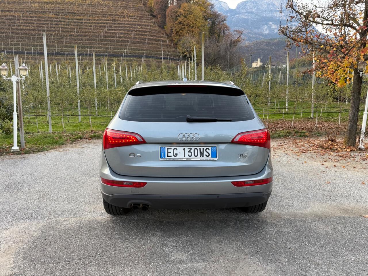 Audi Q5 2.0 TDI 170CV quattro Advanced Plus