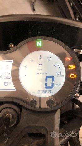 Benelli Leoncino 500