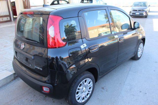 FIAT Panda 1.0 FireFly 65 CV Hybrid Icon-KM0