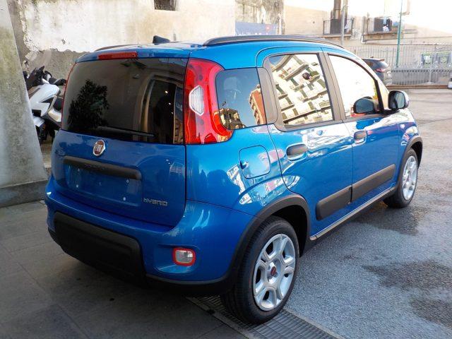 FIAT Panda MY25 - 1.0 FireFly Hybrid ICON