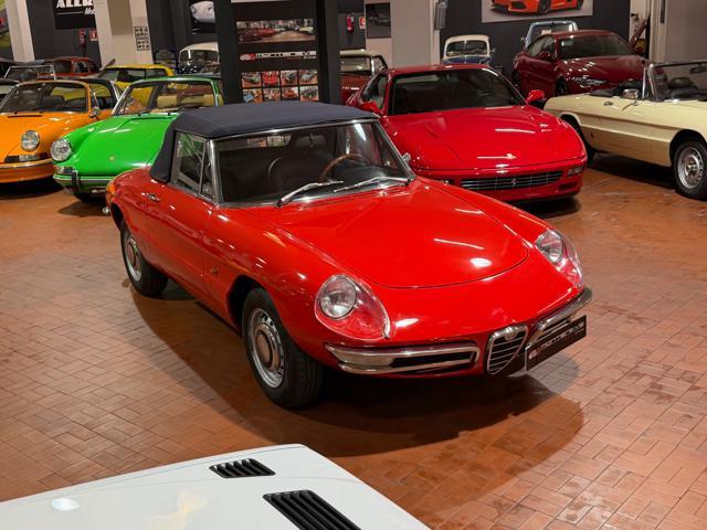 ALFA ROMEO Spider Osso di Seppia 1750 Veloce