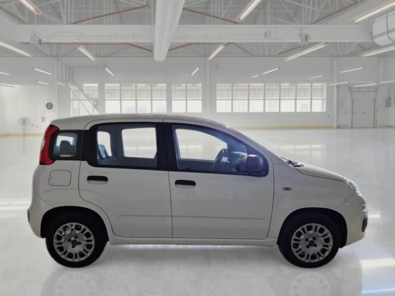 FIAT PANDA 1200 CC 69 CV EASY