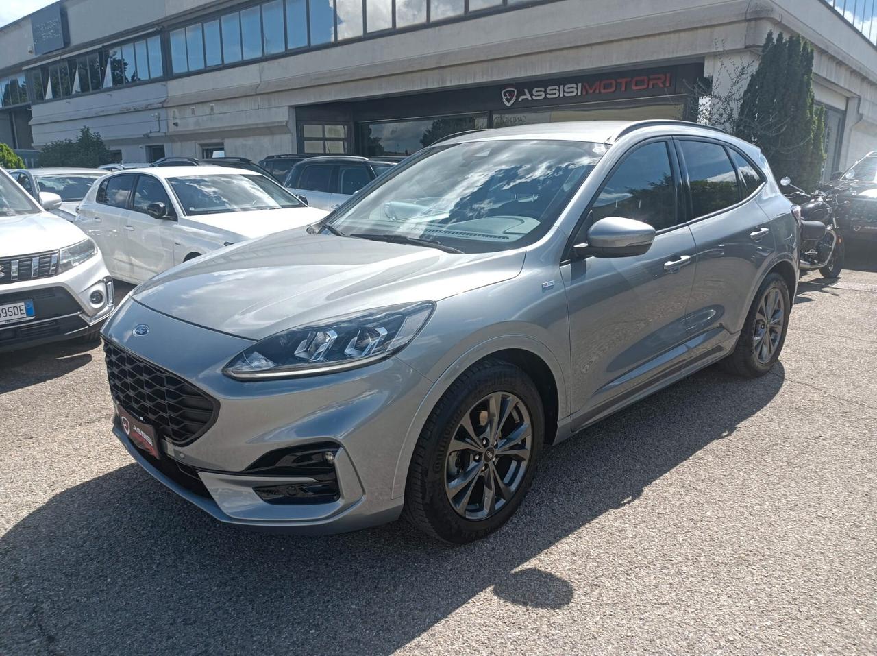Ford Kuga 1.5 EcoBlue 120 CV aut. 2WD ST-Line X