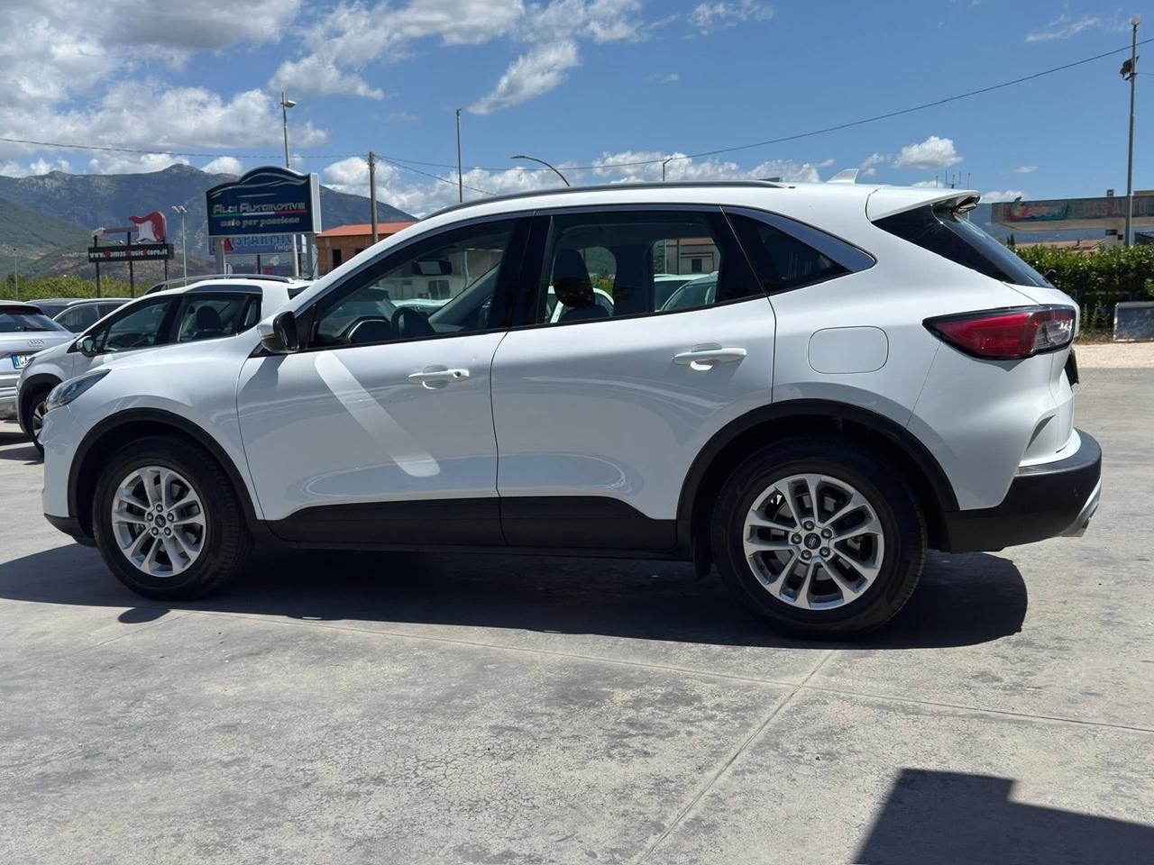 Ford Kuga 1.5 EcoBlue 120 CV aut. 2WD Titanium Business