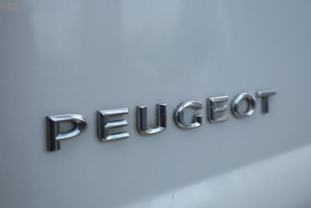 PEUGEOT Expert 2.0