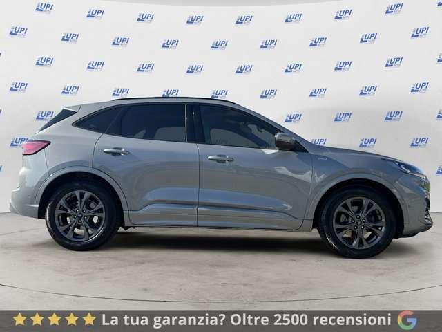 Ford Kuga 1.5 ecoblue ST-Line X 2wd 120cv