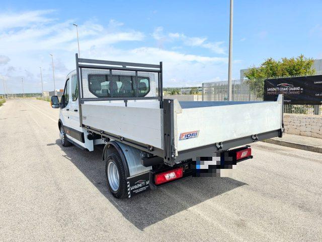 FORD Transit 350 2.0TDCi EcoBlue 130CV CASSONE RIBALTABILE TRIL