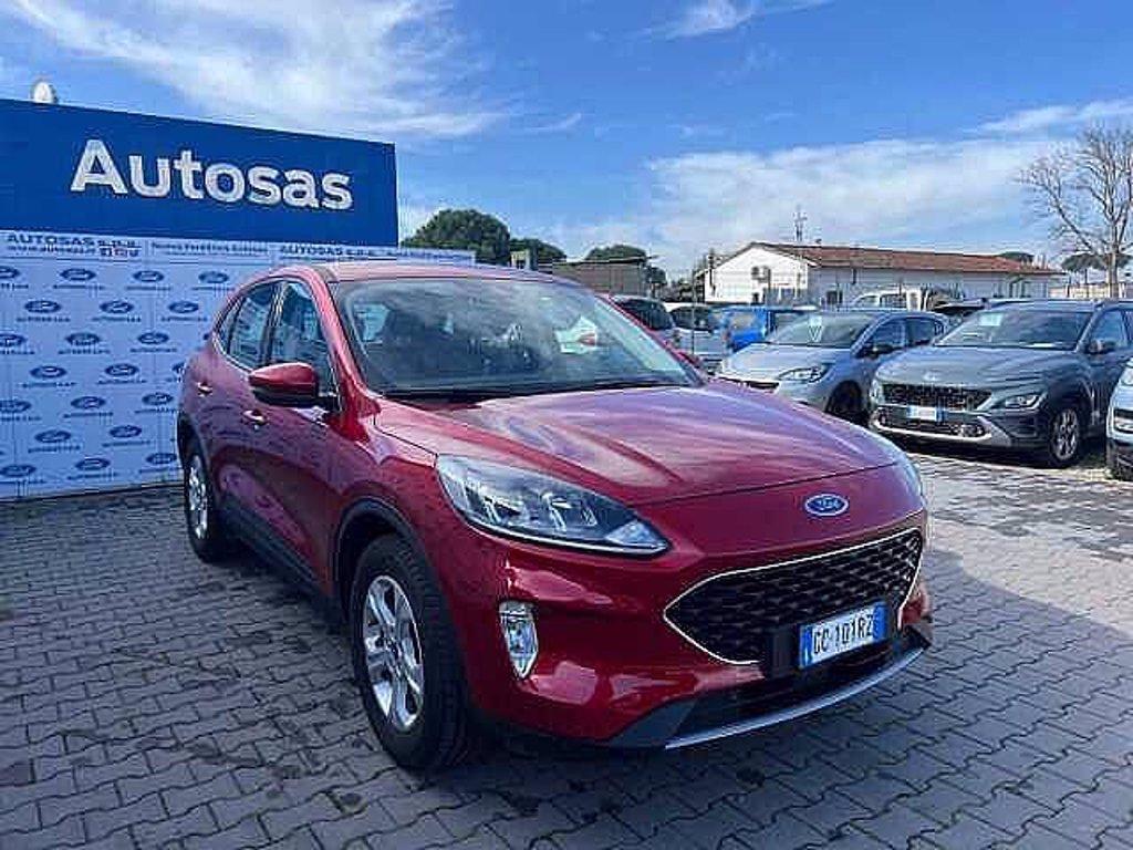 FORD Kuga 1.5 EcoBlue 120 CV 2WD Connect del 2020