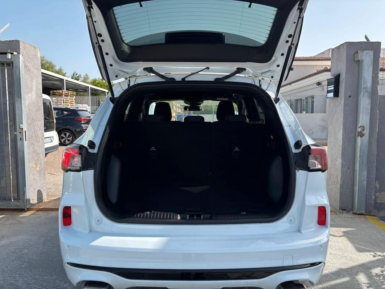 Ford Kuga 2.0 EcoBlue Hybrid 150 CV ST Line