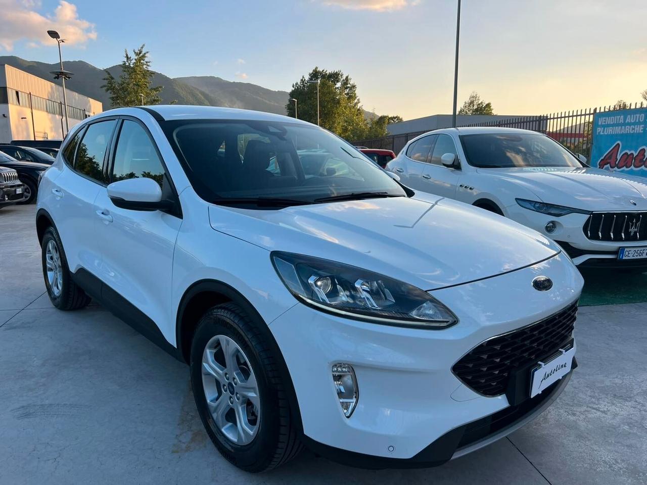 Ford Kuga 1.5 EcoBlue 120 CV aut. NAVI