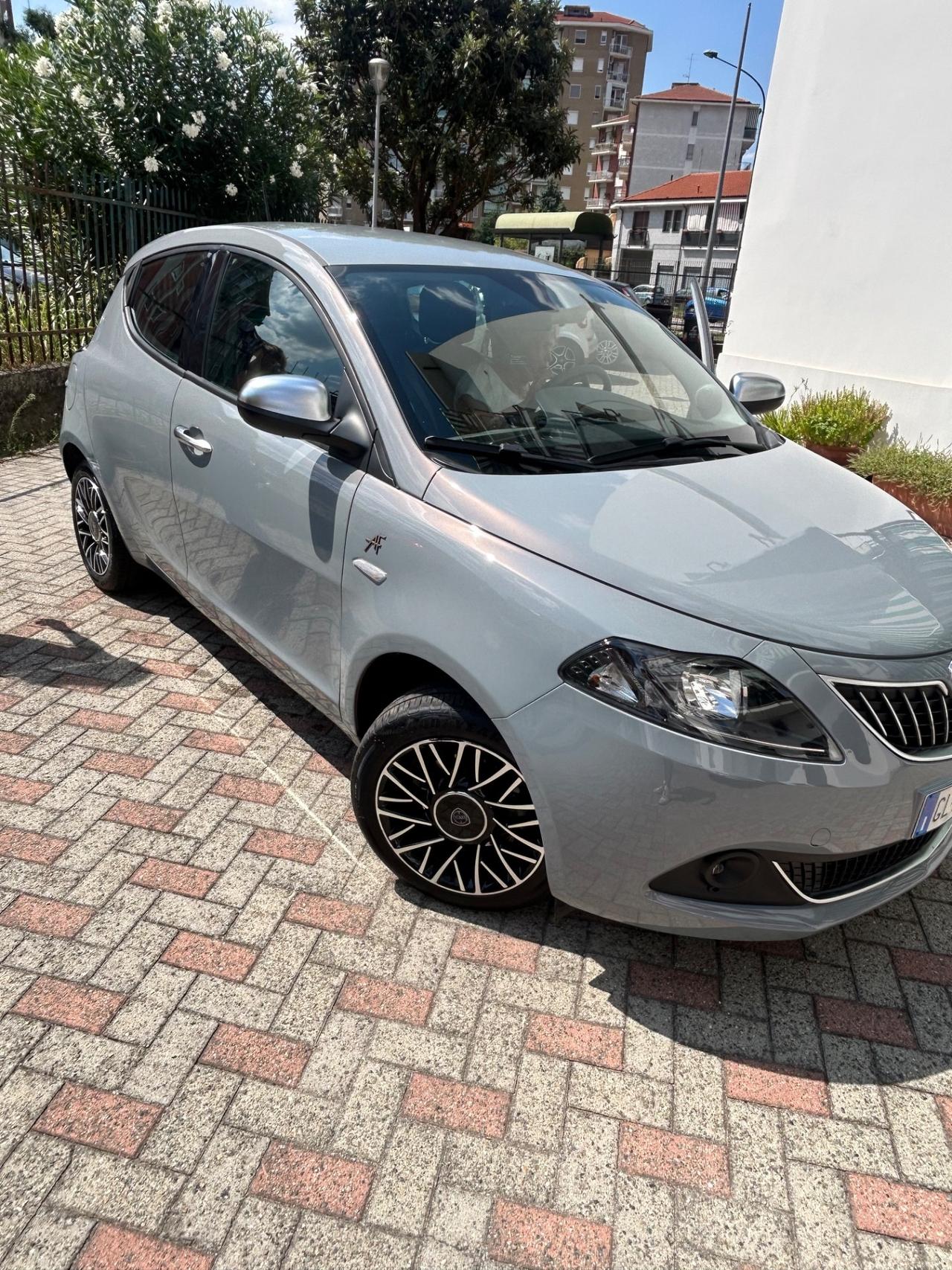 Ypsilon 1.0 FireFly 5 porte S&S Hybrid Alberta Ferretti