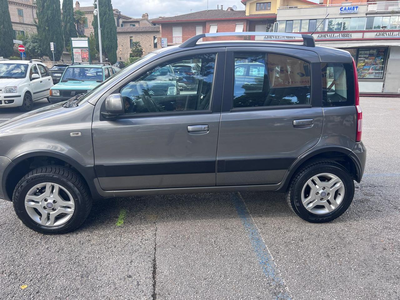 Fiat Panda 1.3 D Multijet DPF Climbing 4x4 #10794