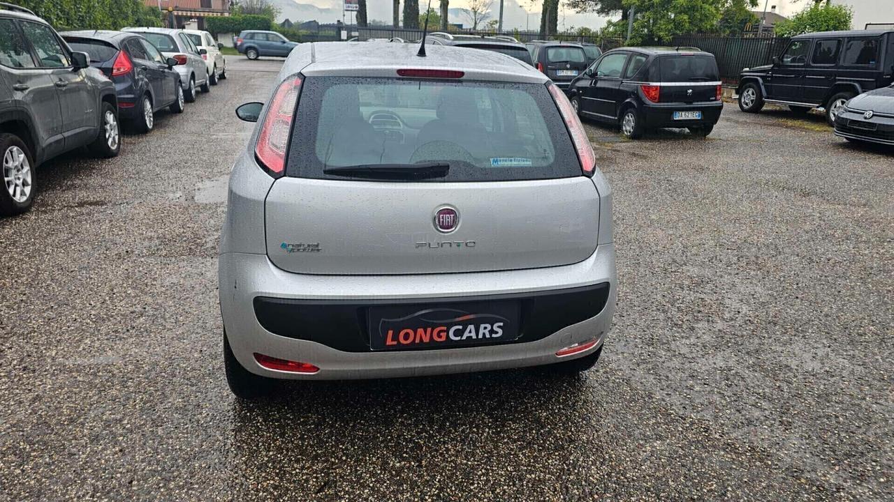 Fiat Punto Evo Punto Evo 1.4 5 porte Dynamic Natural Power Neopatentati